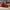 Nike Streetwear Sportswear Sneakers Pria white red photo 3