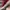 Nike Streetwear Sportswear Sneakers Pria white red photo 6