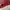 Nike Streetwear Sportswear Sneakers Pria white red photo 7