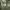Lafudge Indie Casual Casual shirt Pria green khaki photo 6