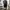 Vintage Y2K Jeans Pria black photo 1