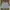 Playboy Y2K Grunge Mini skirt Wanita blue photo 1