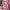 Minimalist Maxi dress Wanita multicolor photo 2