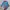 Casual Pyjama Kids Pink Blue