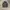 Adidas Sportswear Casual Track jacket Pria black photo 1