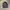 Adidas Sportswear Casual Track Jacket Pria Black