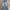 Vintage Streetwear Jeans Pria blue photo 1