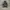 Adidas Sportswear Casual Track jacket Pria black photo 2