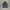 Adidas Sportswear Casual Track jacket Pria black photo 1