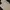 Outer crop  photo 1
