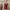 Luxury Minimalist Wrap dress Wanita burgundy photo 1