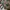 Streetwear Sportswear Sweatshirt Pria green black photo 5