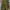 Streetwear Sportswear Sweatshirt Pria green black photo 3