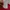Guess Casual Track jacket Kids red photo 7