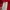 Guess Casual Track jacket Kids red photo 6