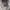 Streetwear Y2K Windbreaker Pria green gray photo 7