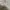 Beams Streetwear Sportswear Hoody Pria gray photo 5