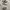 Adidas Casual Hoody Pria white photo 5