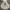 Adidas Casual Hoody Pria white photo 2