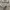 Adidas Casual Hoody Pria gray photo 5