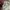 Kobinai Streetwear Avant Garde Hoody Pria multicolor white photo 6