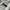 Champion Streetwear Sportswear Sweatpants & Joggers Pria white photo 7