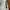 Champion Streetwear Sportswear Sweatpants & Joggers Pria white photo 6