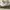 Nike Casual Sneakers Pria white photo 3