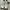 Nike Casual Sneakers Pria white photo 2