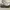 Nike Casual Sneakers Pria white photo 1