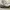 Nike Casual Sneakers Pria White
