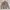 Casual Bomber jacket Pria tan photo 1