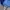 Eiger Casual Hat Pria blue photo 2