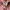 Givenchy Y2K Luxury Vest Wanita pink photo 4