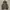 Streetwear Grunge Parka Pria multicolor brown photo 2