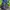 Nike Skater Casual Sneakers Pria navy black photo 8