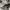 Nike Sportswear Casual Sneakers Pria white photo 2