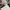 Nike Sportswear Casual Sneakers Pria white photo 8