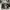 Nike Sportswear Casual Sneakers Pria white photo 6