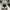 Nike Sportswear Casual Sneakers Pria white photo 4