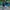 Casual Pria green blue photo 1