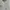 Polo Ralph Lauren Casual Polo shirt Pria white photo 2