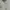 Polo Ralph Lauren Casual Polo Shirt Pria White