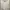 Polo Ralph Lauren Casual Polo shirt Pria white photo 5