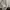 Polo Ralph Lauren Casual Polo shirt Pria white photo 4