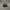 Supreme Streetwear Skater Hat Pria Black Gray