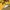 Japanese brand Vintage Streetwear Cardigan Wanita yellow black photo 4