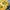 Japanese brand Vintage Streetwear Cardigan Wanita yellow black photo 3
