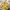 Japanese Brand Vintage Streetwear Cardigan Wanita Yellow Black