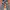 Vintage Biker Jeans Pria gray photo 2